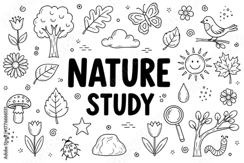 Nature study illustration with plants, animals, and insects highlighting botany and ecology