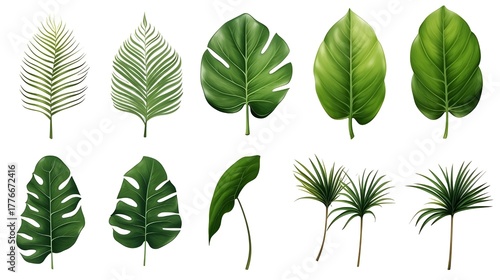 set of green leaves