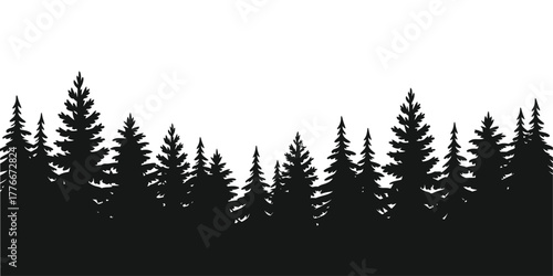 Silhouette of a dense evergreen forest against a white background