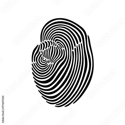 Unique fingerprint pattern symbolizing identity and personal data protection