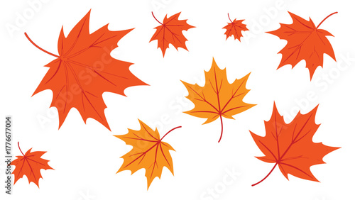 Autumn Maple Leaves Illustration Graphic Elements for Seasonal Designs