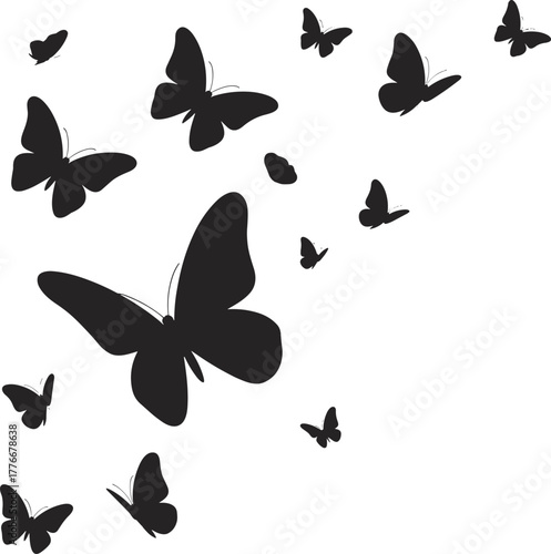 Silhouette vector of butterflies in flight with multiple sizes and orientations creating dynamic motion, scattered arrangement and decorative design