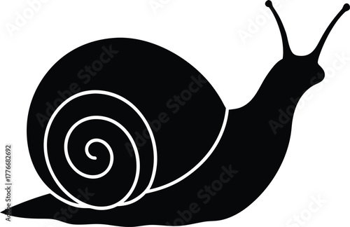 Snail silhouette line art vector illustration