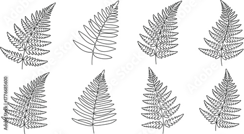 Beautiful fern leaf botanical line art collection, elegant tropical foliage illustration set, detailed nature sketch, black and white minimalist design
