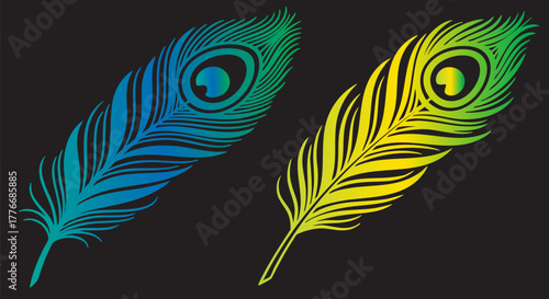 Two vibrant peacock feathers in blue and yellow hues against a dark background