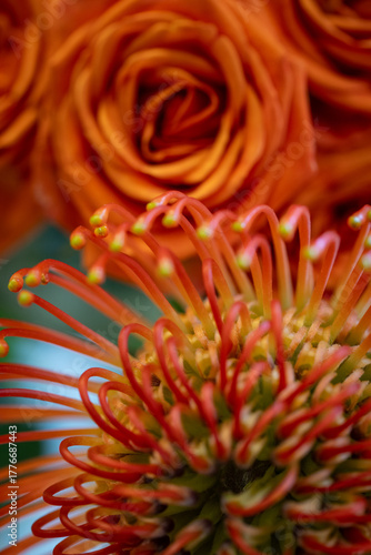 Radiant Harmony – Orange Protea and Rose Composition