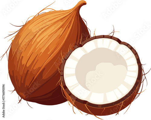 Close-up coconut half showing rich white flesh and textured brown shell, clean tropical fruit illustration representing natural purity, freshness and healthy exotic nutrition