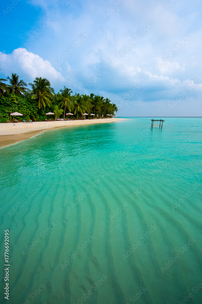 Fototapeta premium Tranquil closeup calm sea water waves with palm trees. Beautiful Panorama, Tropical island beach landscape exotic shore coast. Summer vacation, holiday amazing nature. Relax paradise, Maldives.
