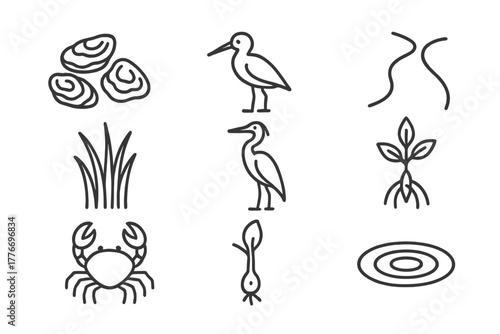 Estuary Line Icons. Line style icons of Estuary: Oyster Bed, Wading Bird, River Mouth, Marsh Grass, Heron, Mangrove Seedling, Crab