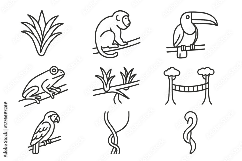 Obraz premium Rainforest Icons Collection. Line style icons of Rainforest Canopy: Bromeliad, Howler Monkey, Toucan, Canopy Walkway, Tree Frog,