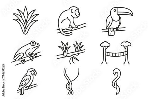 Rainforest Icons Collection. Line style icons of Rainforest Canopy: Bromeliad, Howler Monkey, Toucan, Canopy Walkway, Tree Frog,