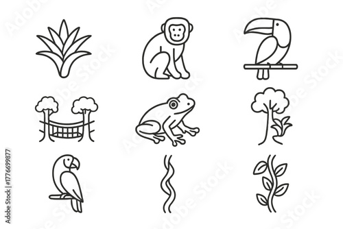 Rainforest Icons Collection. Line style icons of Rainforest Canopy: Bromeliad, Howler Monkey, Toucan, Canopy Walkway, Tree Frog,