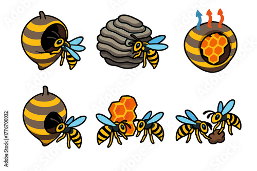 Wasp Nest Construction. Isometric vector illustration set Social wasp nest construction: nest formation, chewed fiber layers,