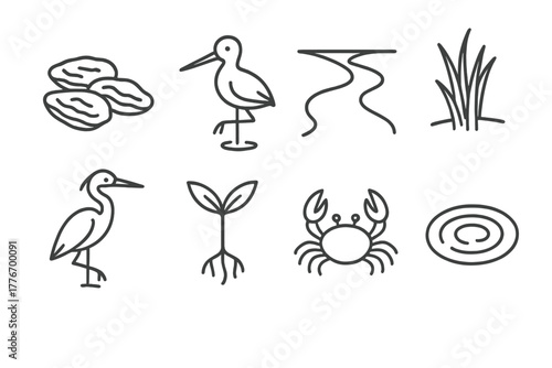 Estuary Line Icons. Line style icons of Estuary: Oyster Bed, Wading Bird, River Mouth, Marsh Grass, Heron, Mangrove Seedling, Crab