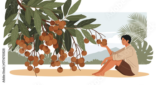 A Person Harvesting Longan Fruits Under the Tree With Tropical Scenery Illustration