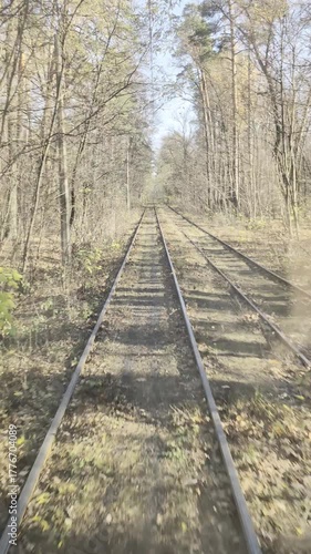 Vintage tram moving along leafy tracks under soft sunlight