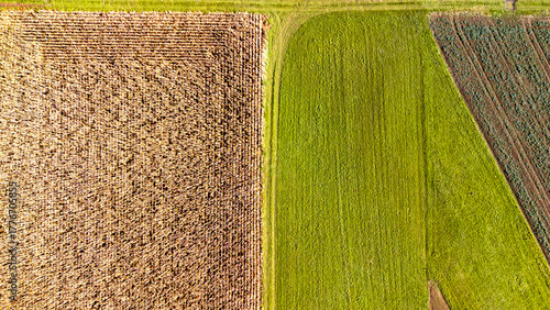Aerial view of agricultural land showcasing contrasting crops with sections of golden stubble and lush green fields, representing diverse farming techniques and productivity.