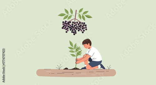 A Young Person Planting A Berry Bush in the earth with fruits of nature