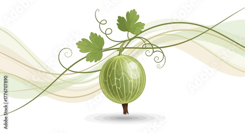 Abstract Illustration Of A Gooseberry Fruit With Decorative Green Vines On White Background