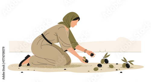 A Woman Harvesting Olives in an Olive Grove, Preparing for Production Process