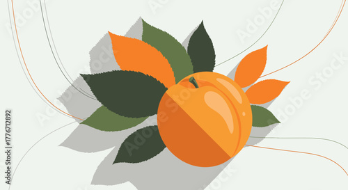 Aesthetic Image of an Apricot with Leaves and Abstract Lines on White Background
