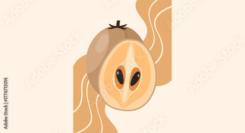 Aesthetic Vector Illustration Featuring Sliced Sapodilla Fruit In Organic Style