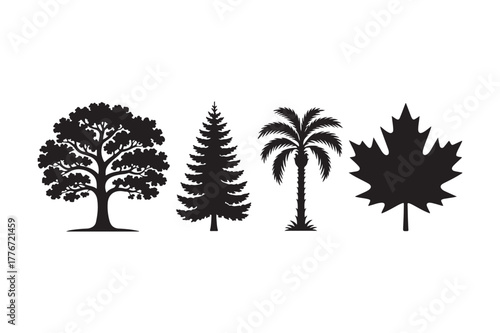 Silhouettes of diverse trees and a maple leaf