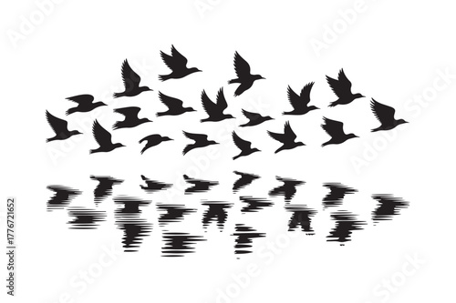 Silhouette flock of birds in flight reflected on water