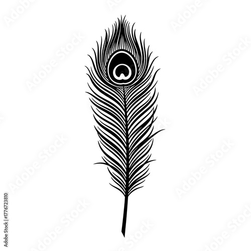 Black silhouette of a peacock feather