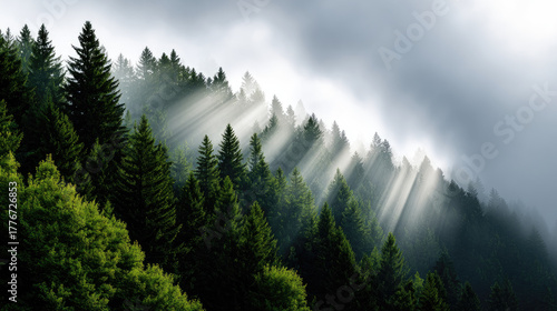 Sunlight piercing fog in mo...