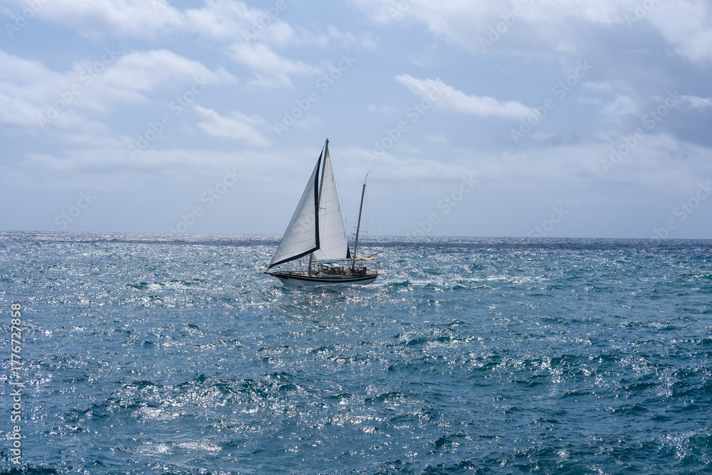 Obraz premium sailboat on the sea