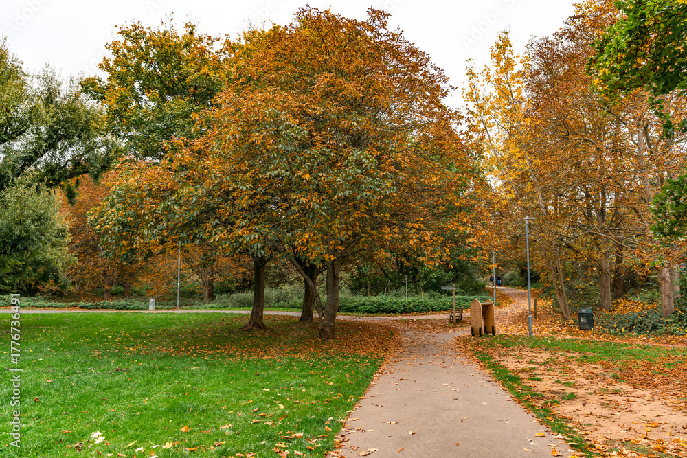 Fototapeta premium Beautiful autumnal background in the UK