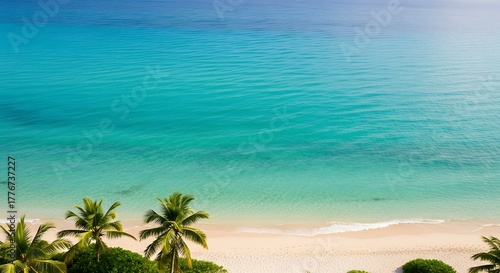 Aerial tropical beach with palm trees and turquoise ocean