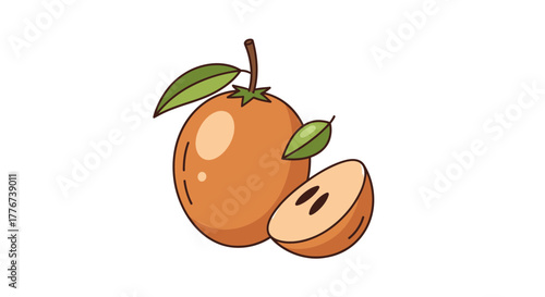 Cartoon Illustration of Sapodilla Fruit With Leaves and a Cut Slice Isolated