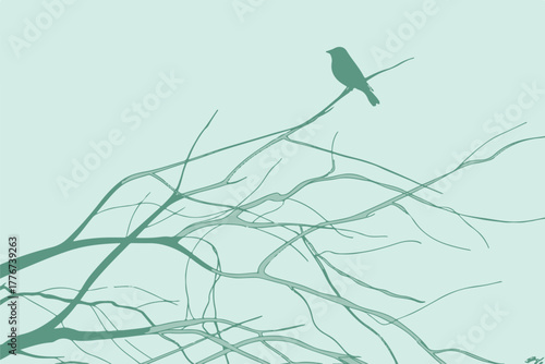 bird perched silhouette among bare branches with muted green