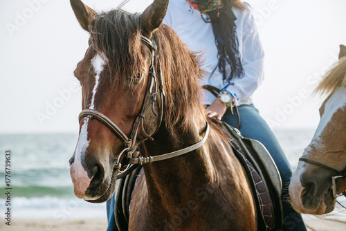 Foto Close-up of a brown horse with bridle walking on a sandy beach by the sea, ridden by a person