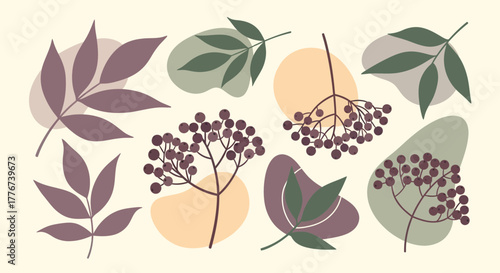 Autumnal Foliage Illustrations With Abstract Pods and Botanical Arrangements