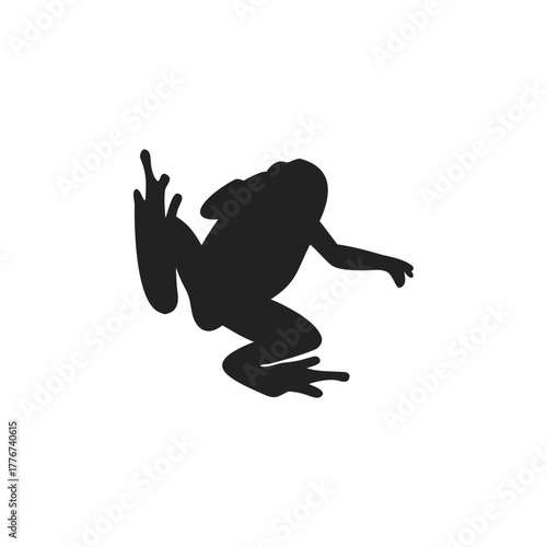 Frog silhouette