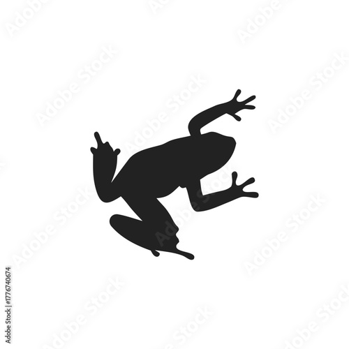 Frog silhouette