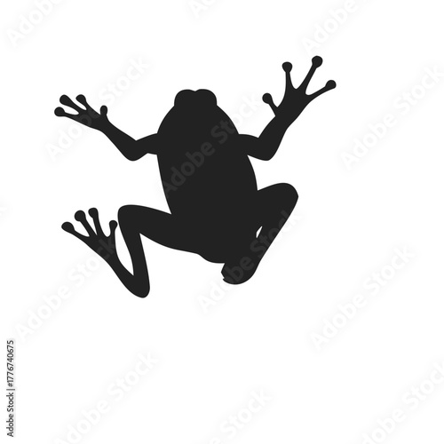Frog silhouette