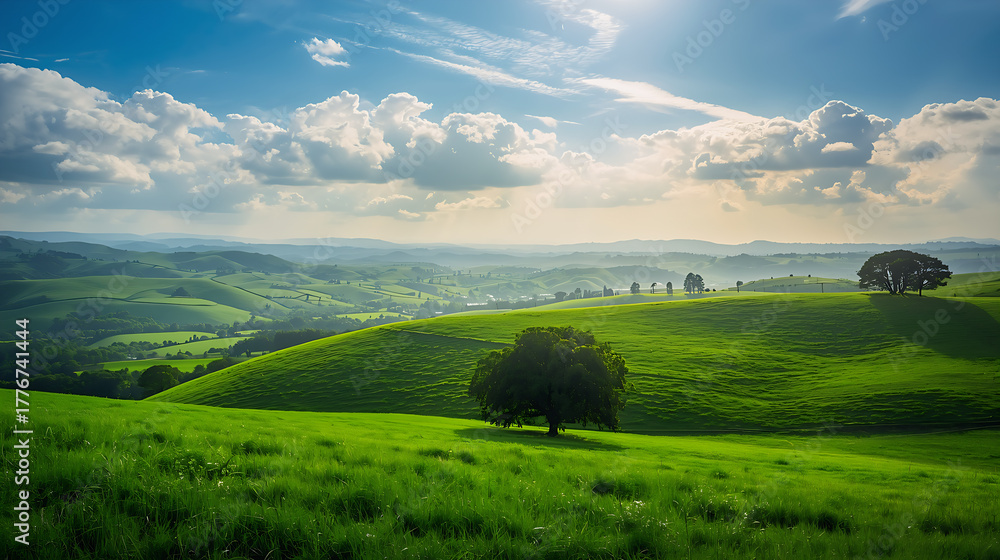 Fototapeta premium Beautiful panorama of a green field and blue sky with clouds over a rolling hill in the countryside