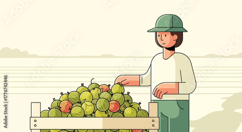 A Farmer Harvests Berries From A Crate In An Orchard, Simple Vector Illustration Displaying