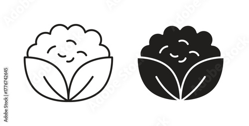 Cauliflower icon isolated vector Illustration. Vector pictogram for web and app
