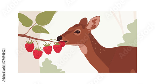 Deer Delightfully Devouring Ripe Raspberries From A Bushy Branch For Delightful Nutrition
