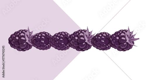 Elegant Array Of Blackberries, Stylized, Positioned On Geometric Lavender Background