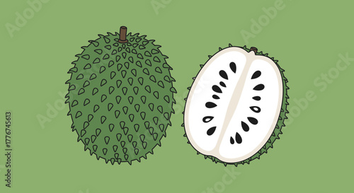 Exotic Annona Muricata Fruit Illustration: A Sweet And Spiky Tropical Delight