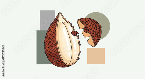 Exotic Fruit Illustration Depicting Salak Inside And Its Outer Texture with Colorful Geometry
