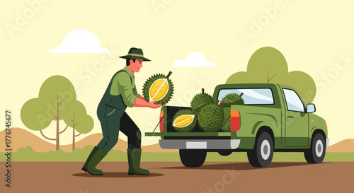 Farmer Loading Durian Fruit into Truck for Transport and Delivery Process.