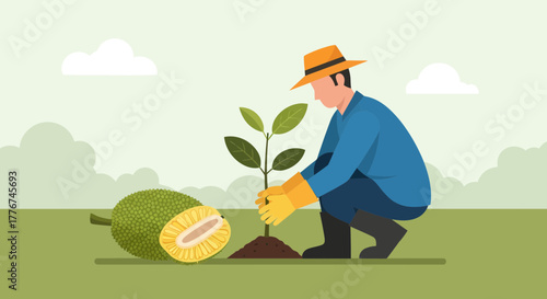 Farmer Planting Young Jackfruit Tree in Field Representing Sustainable Agriculture