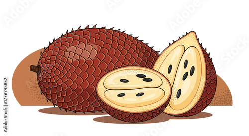Exotic Salak Fruit Illustration Depicting Organic Food with Natural Taste and Unique Texture